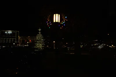 DSC_0030 (Large).JPG